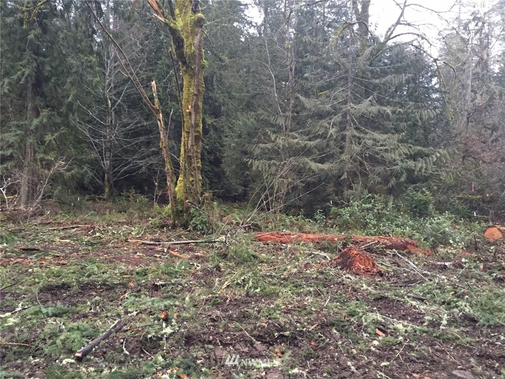 0 Reeves Road Southwest Lakebay, WA 98349 - Photo 2 of 4 Gallery Image 2