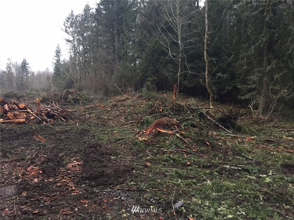 0 Reeves Road Southwest Lakebay, WA 98349 - Photo 3 of 4 Gallery Image 3