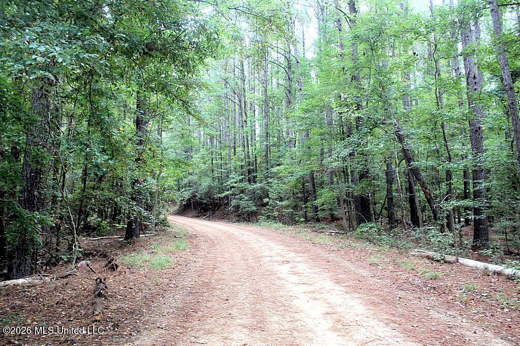 John Chambers Road Roxie, MS 39661 - Photo 9 of 14 Frnkln3000009