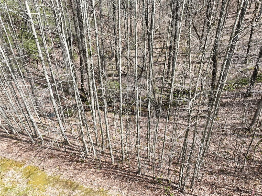 64 St. Andrews Way Jasper, GA 30143 - Photo 13 of 19