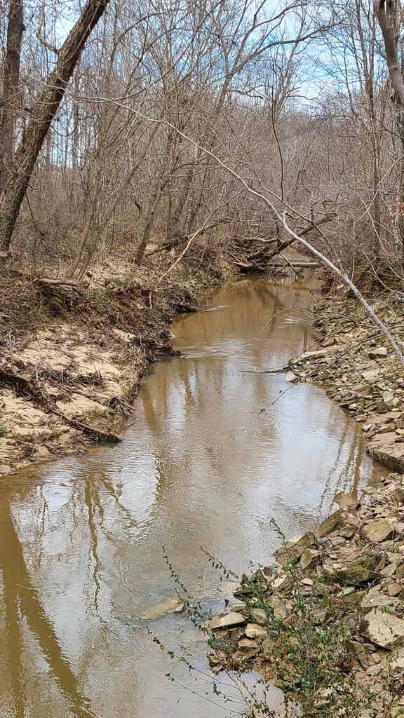 Lees Mill Road, Unit 3 Chase City, VA 23924 - Photo 15 of 64 Gallery Image 15