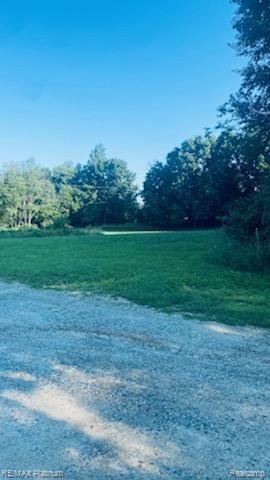 Vl Bentley Lake Road Pinckney, MI 48169 - Photo 2 of 2