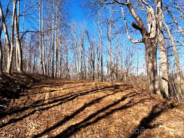 a view of a yard with wooden fence