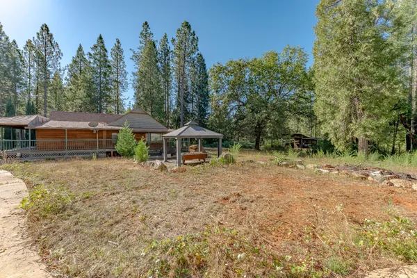 a view of a yard with some trees