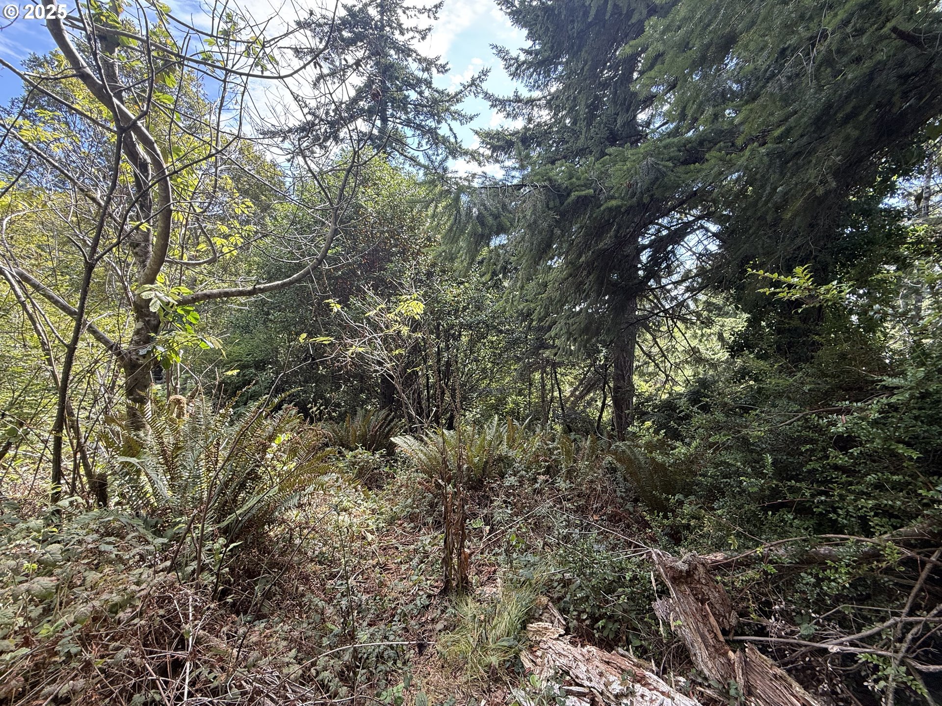 Averill Hill Road Port Orford, OR 97465 - Photo 3 of 6 a view of a yard