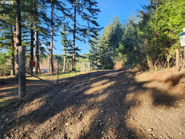 a view of a yard with trees