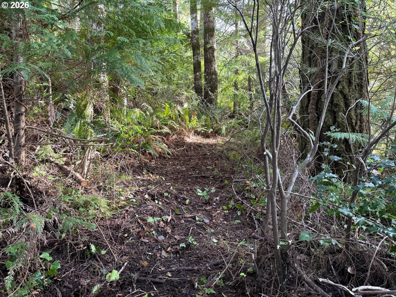 Averill Hill Road Port Orford, OR 97465 - Photo 6 of 6 a backyard of a house with lots of plants