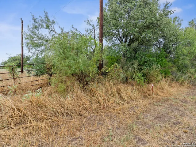 a view of a yard with plants and wooden fence