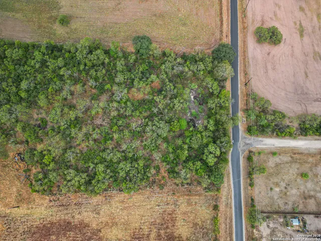 a view of a yard with plants