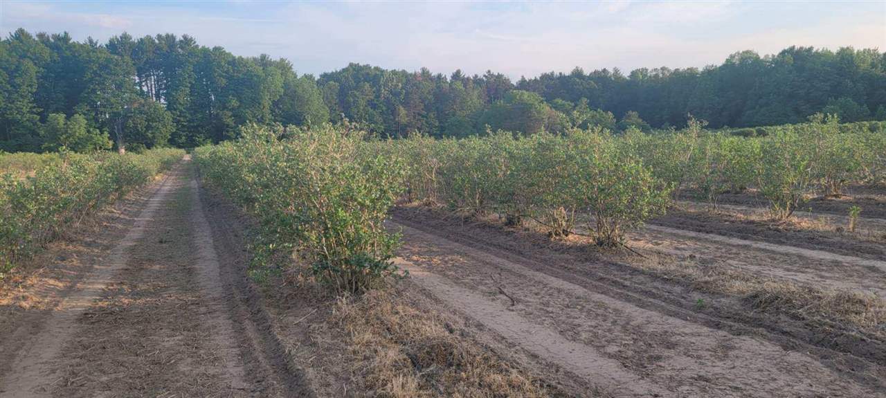 Lot B54 Co Road Covert, MI 49043 - Photo 26 of 28