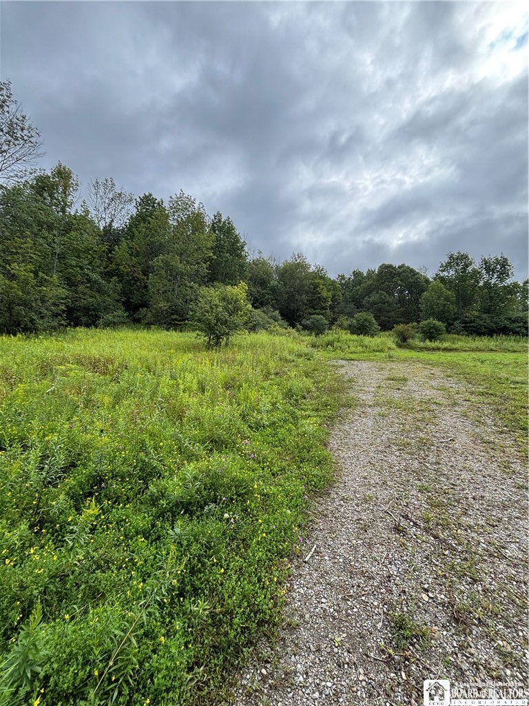 5228 Kenyon Road Alfred, NY 14803 - Photo 5 of 10 Gallery Image 5