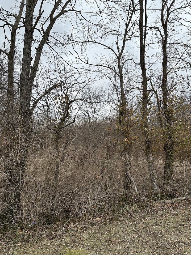 Lot 1 Pecan Road Du Quoin, IL 62832 - Photo 3 of 3 a backyard of a house with lots of green space