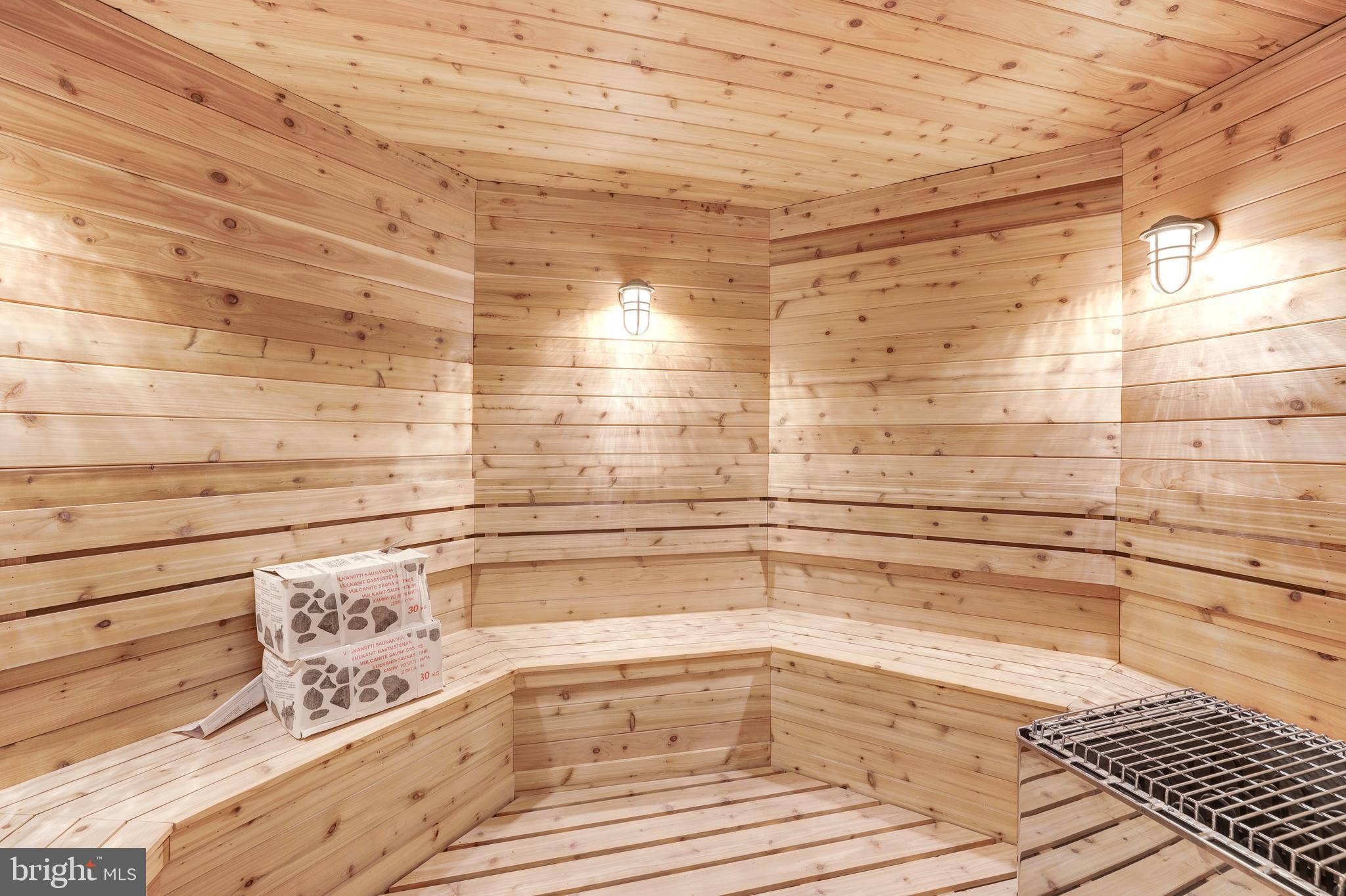 1332 McCay Lane McLean, VA 22101 - Photo 52 of 61 Sauna