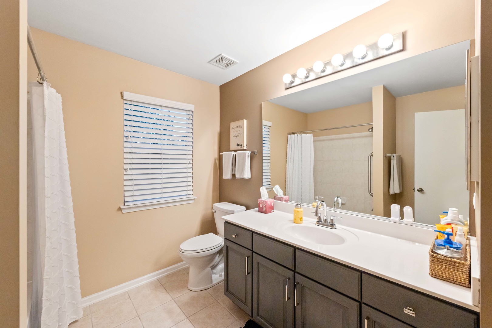 327 Berkeley Drive Bolingbrook, IL 60440 - Photo 36 of 50 a bathroom with a double vanity sink toilet and a mirror