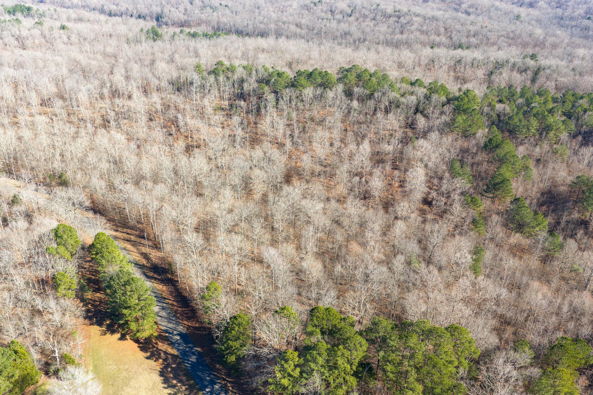 0 Holladay Road Holladay, TN 38341 - Photo 11 of 16