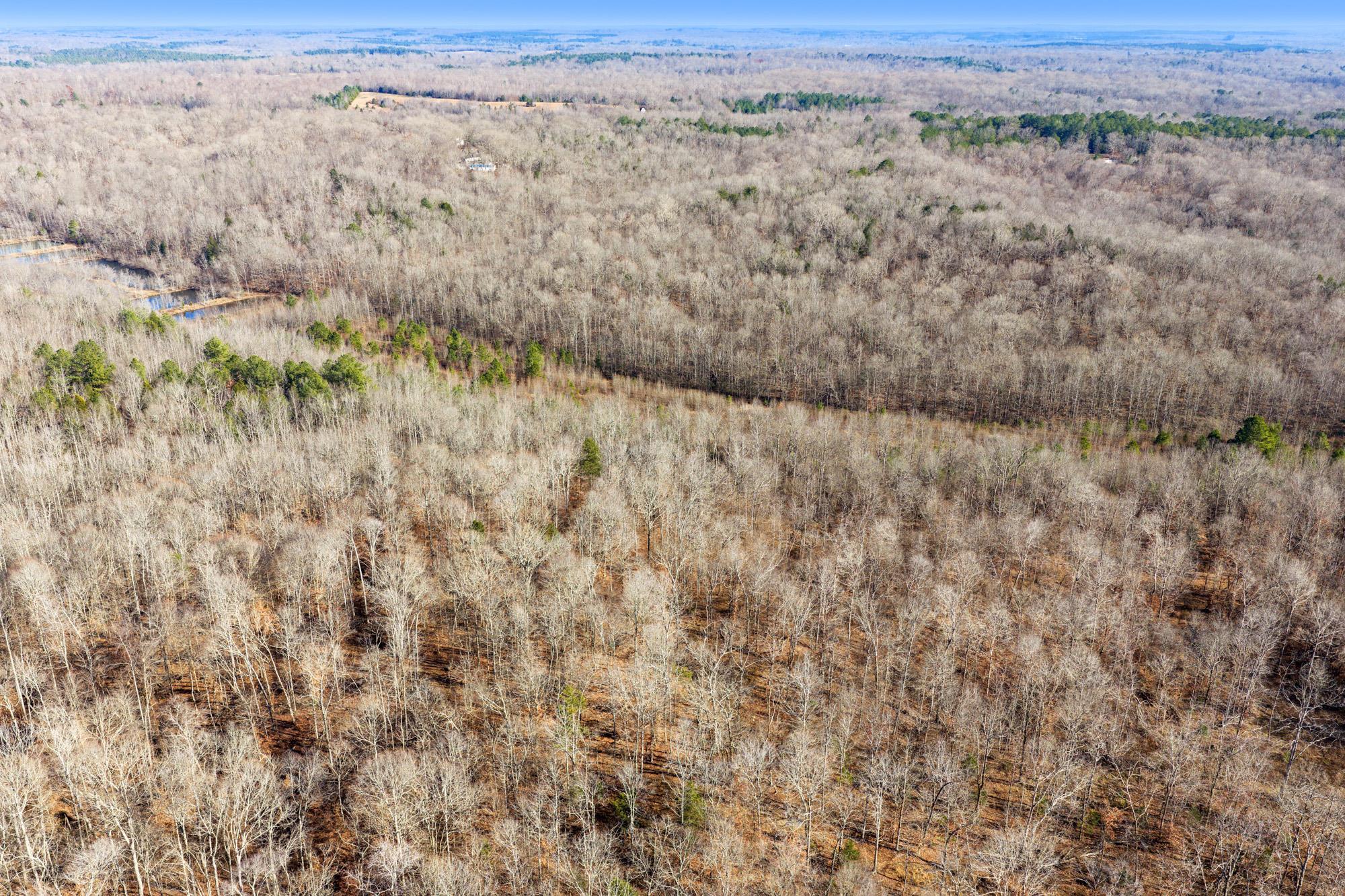 0 Holladay Road Holladay, TN 38341 - Photo 12 of 16 a view of a dry yard
