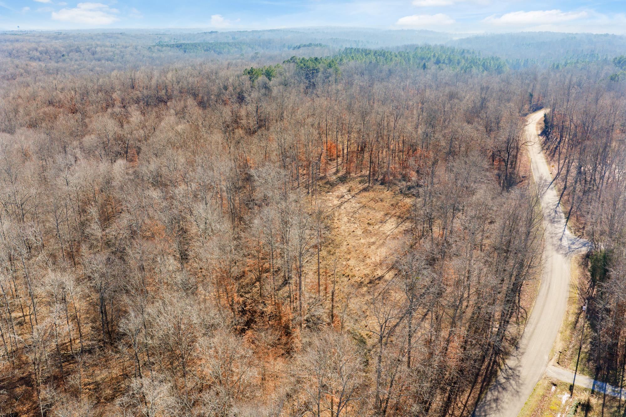 0 Holladay Road Holladay, TN 38341 - Photo 14 of 16 a view of a dry yard with trees