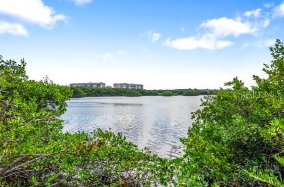 9975 Key Haven Road Seminole, FL 33777 - Photo 48 of 56 a view of a lake from a yard