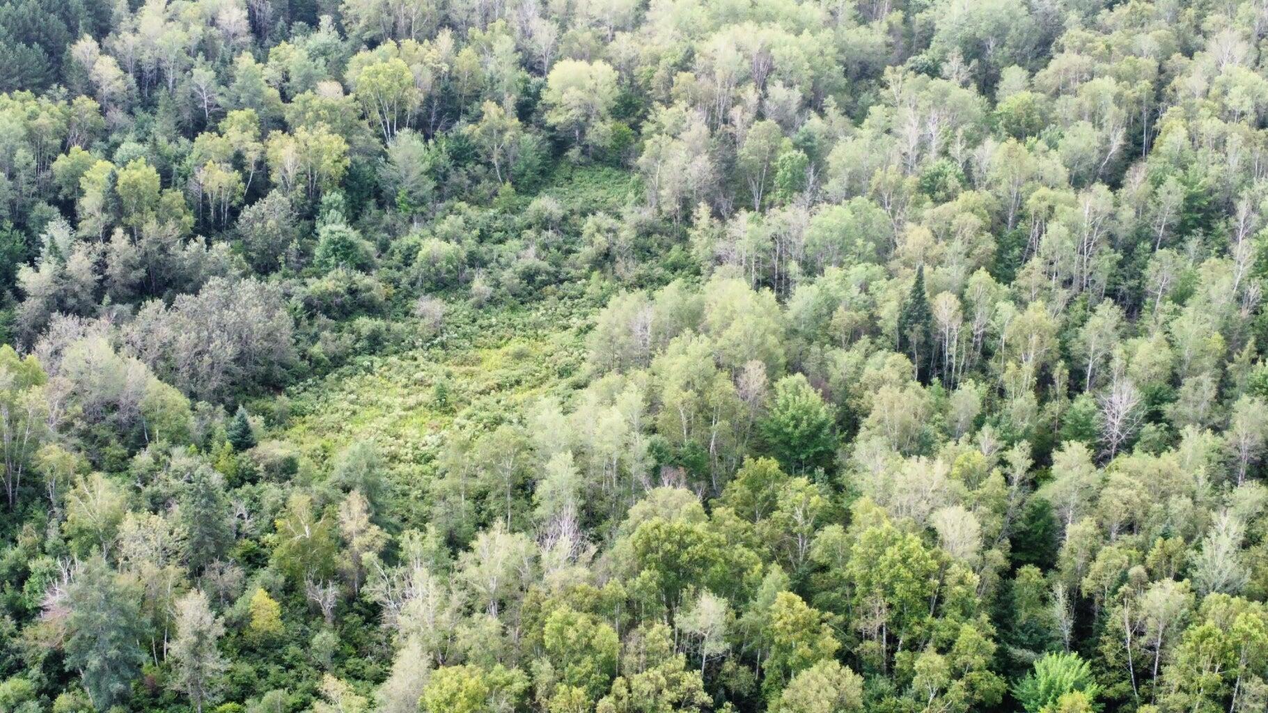7-l 52 Boundary Line Road Van Buren, ME 04785 - Photo 19 of 23 20250815105300426453000000-o