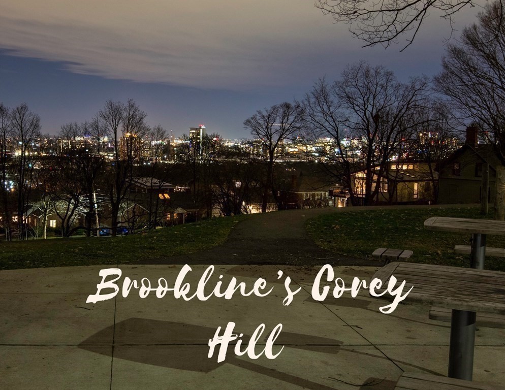 63 Summit Avenue, Unit 2 Brookline, MA 02446 - Photo 24 of 24