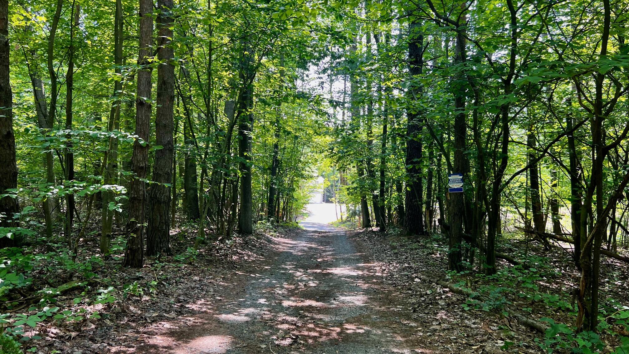 1821 West Hansen Road Scottville, MI 49454 - Photo 41 of 45 Driveway