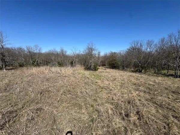 a view of a field with trees in the background