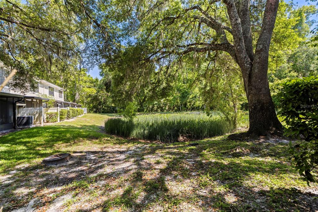 5100 Burchette Road, Unit 2301 Tampa, FL 33647 - Photo 27 of 39 a view of a back yard