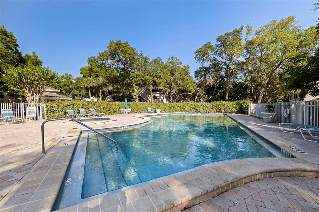 5100 Burchette Road, Unit 2301 Tampa, FL 33647 - Photo 30 of 39 a view of a swimming pool with a lounge chairs