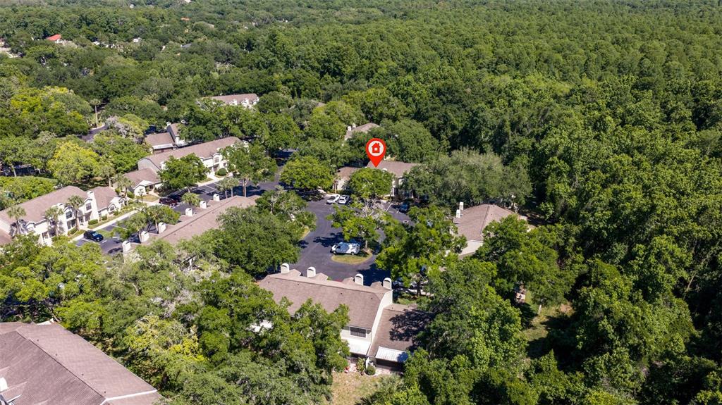 5100 Burchette Road, Unit 2301 Tampa, FL 33647 - Photo 33 of 39 an aerial view of residential house with outdoor space and trees all around
