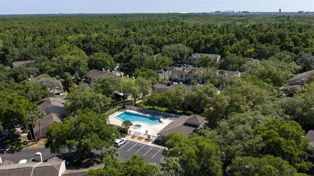 5100 Burchette Road, Unit 2301 Tampa, FL 33647 - Photo 37 of 39 an aerial view of a house with mountain view