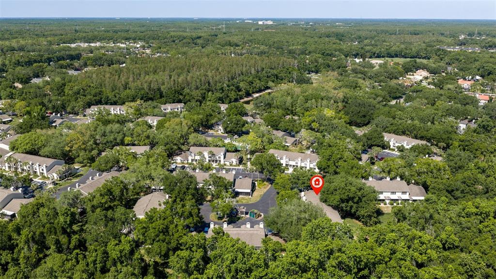 5100 Burchette Road, Unit 2301 Tampa, FL 33647 - Photo 38 of 39 an aerial view of multiple house
