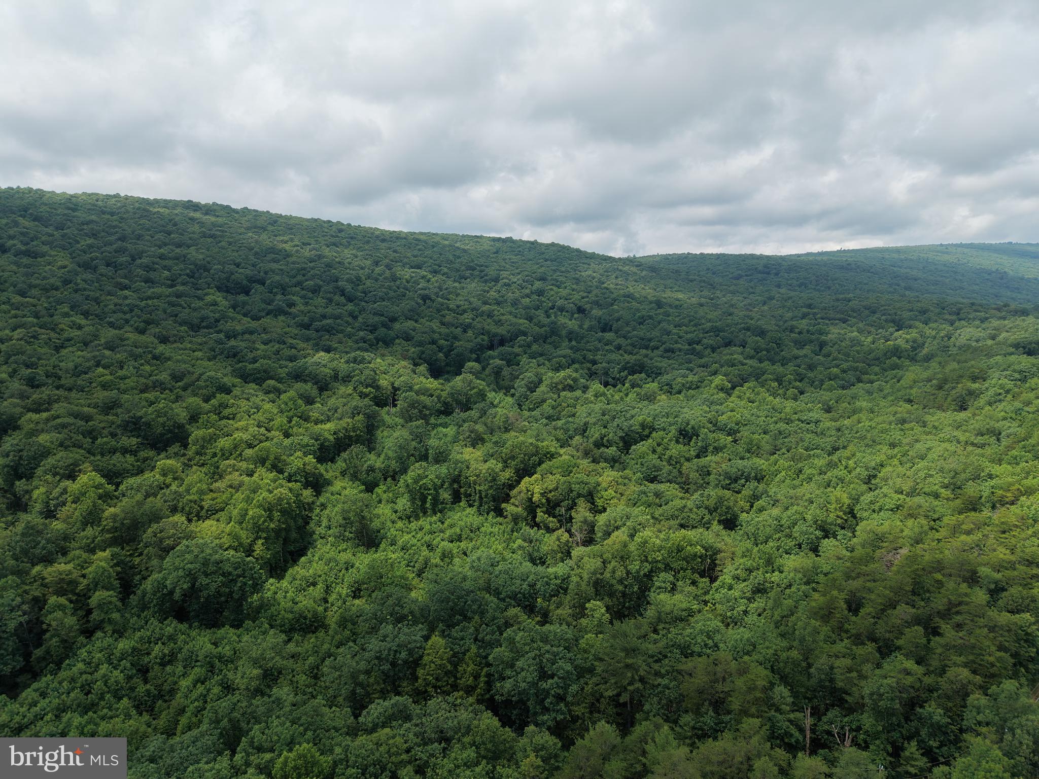 17147 Sugar Run Road Shirleysburg, PA 17260 - Photo 7 of 148
