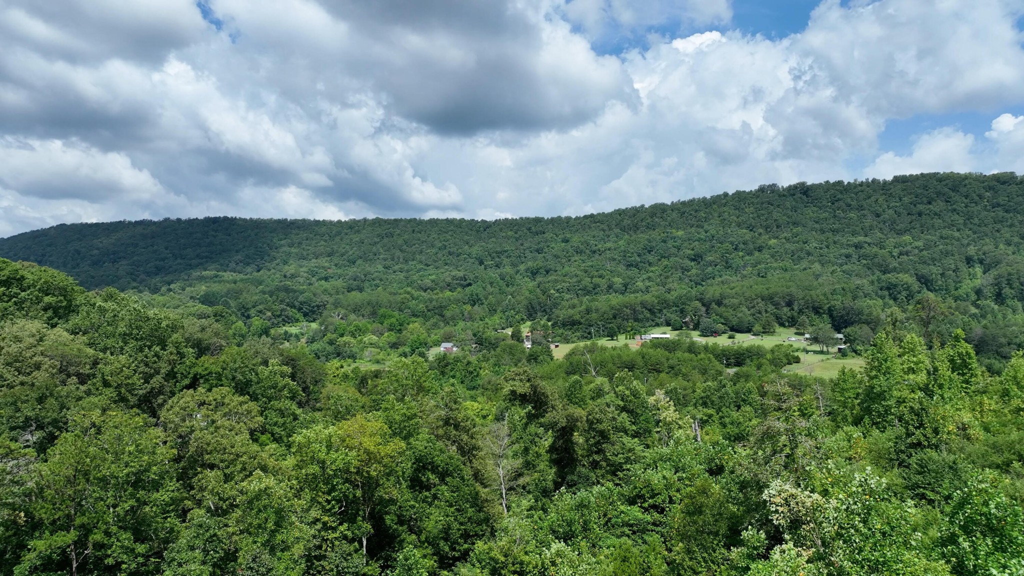 1776 Fairview Road Tellico Plains, TN 37385 - Photo 5 of 9 a view of a green field with lots of bushes