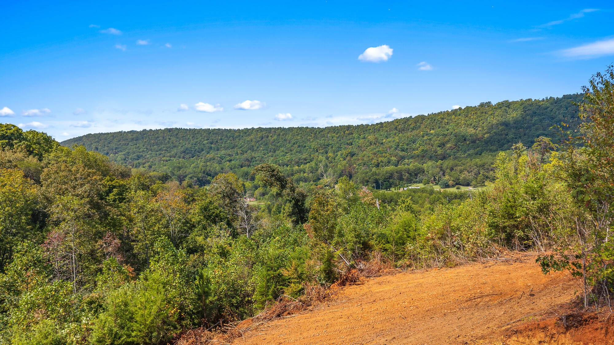 1776 Fairview Road Tellico Plains, TN 37385 - Photo 6 of 9 a view of a city and mountains