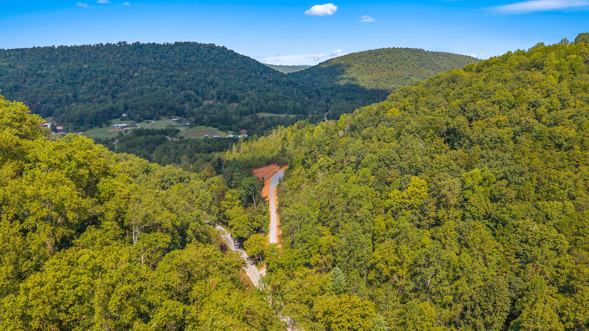 1776 Fairview Road Tellico Plains, TN 37385 - Photo 9 of 9 a view of a mountain
