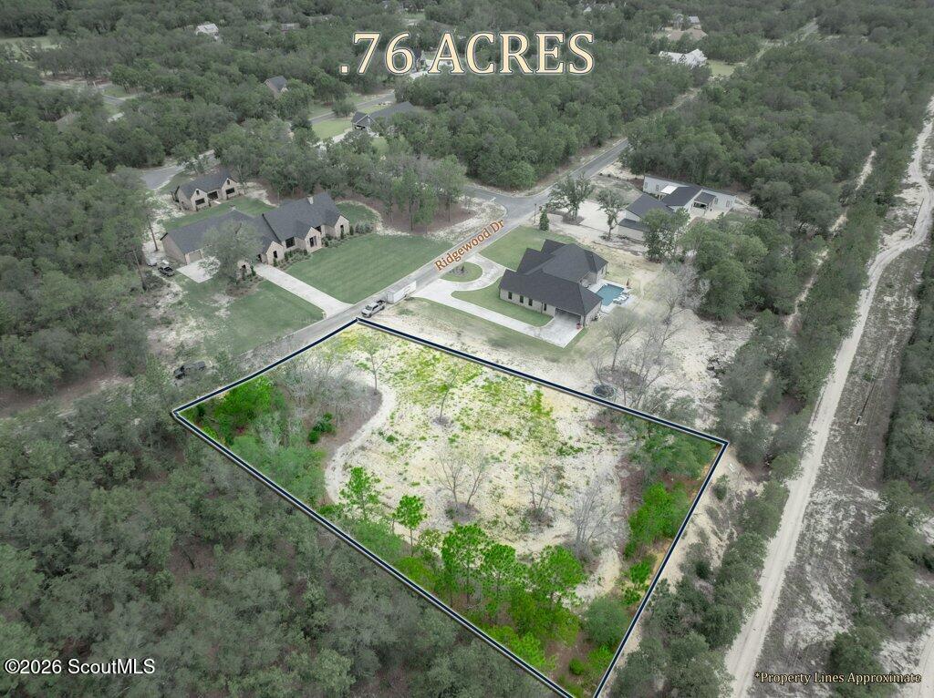 1490 Ridgewood Drive Blackshear, GA 31516 - Photo 3 of 17 003-2_m