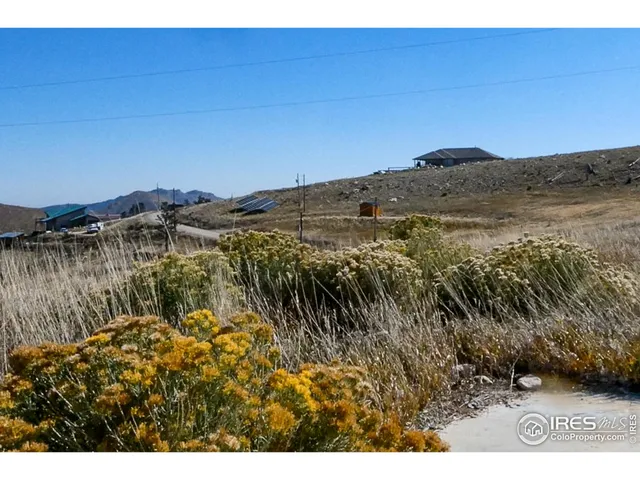 a view of a dry yard with wooden fence