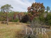 302 Community Road Dillwyn, VA 23936 - Photo 23 of 35 Gallery Image 23