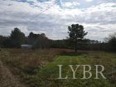 302 Community Road Dillwyn, VA 23936 - Photo 3 of 35 Gallery Image 3