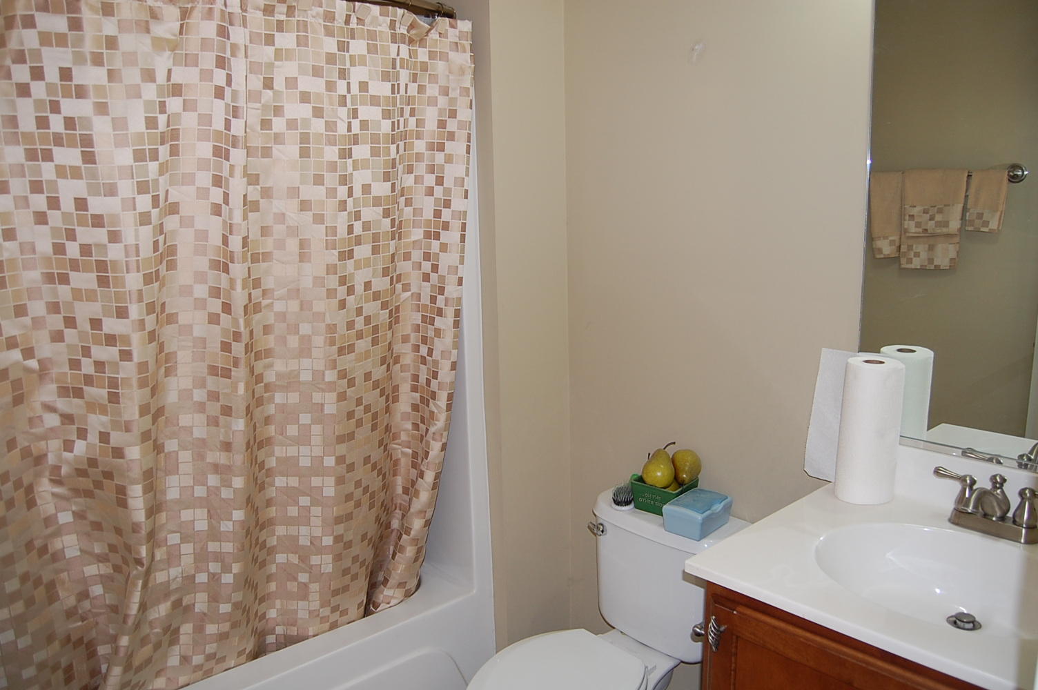 4016 Conant Road Mount Pleasant, SC 29466 - Photo 11 of 26 Guest bath