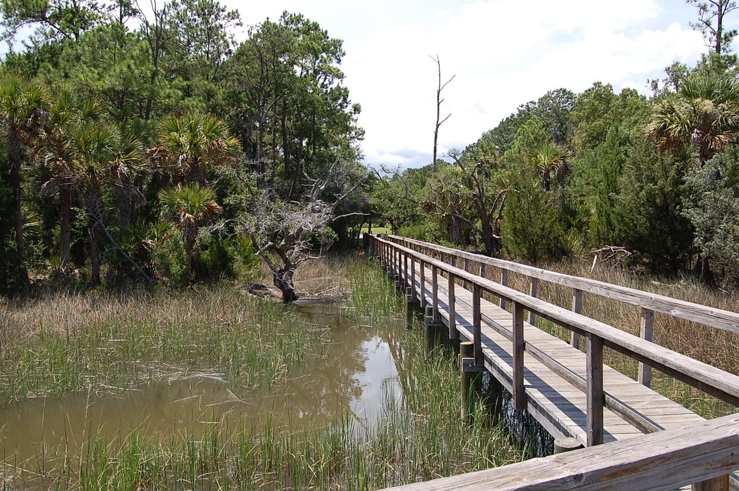 4016 Conant Road Mount Pleasant, SC 29466 - Photo 19 of 26 Crabbing dock