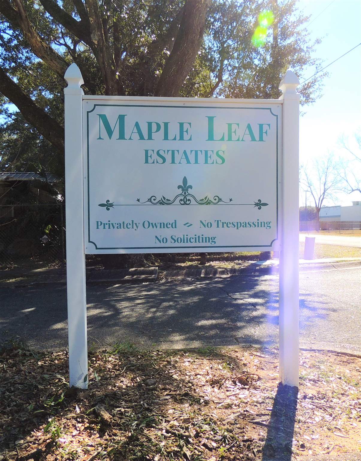 455 Mapleleaf Circle Pensacola, FL 32514 - Photo 9 of 11 a view of water fountain