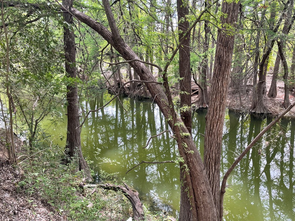 2915 Riverside Drive Kerrville, TX 78028 - Photo 38 of 47