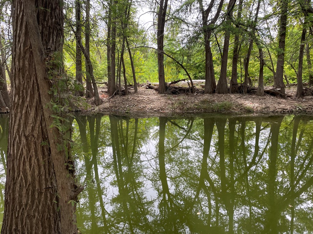 2915 Riverside Drive Kerrville, TX 78028 - Photo 42 of 47