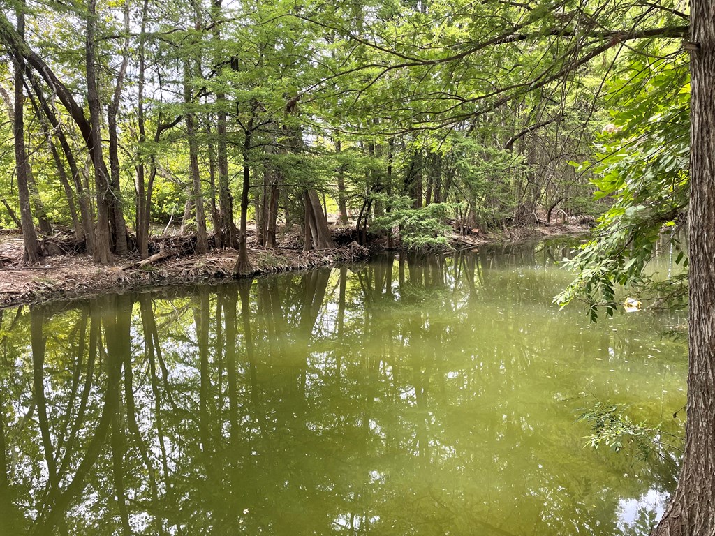 2915 Riverside Drive Kerrville, TX 78028 - Photo 43 of 47