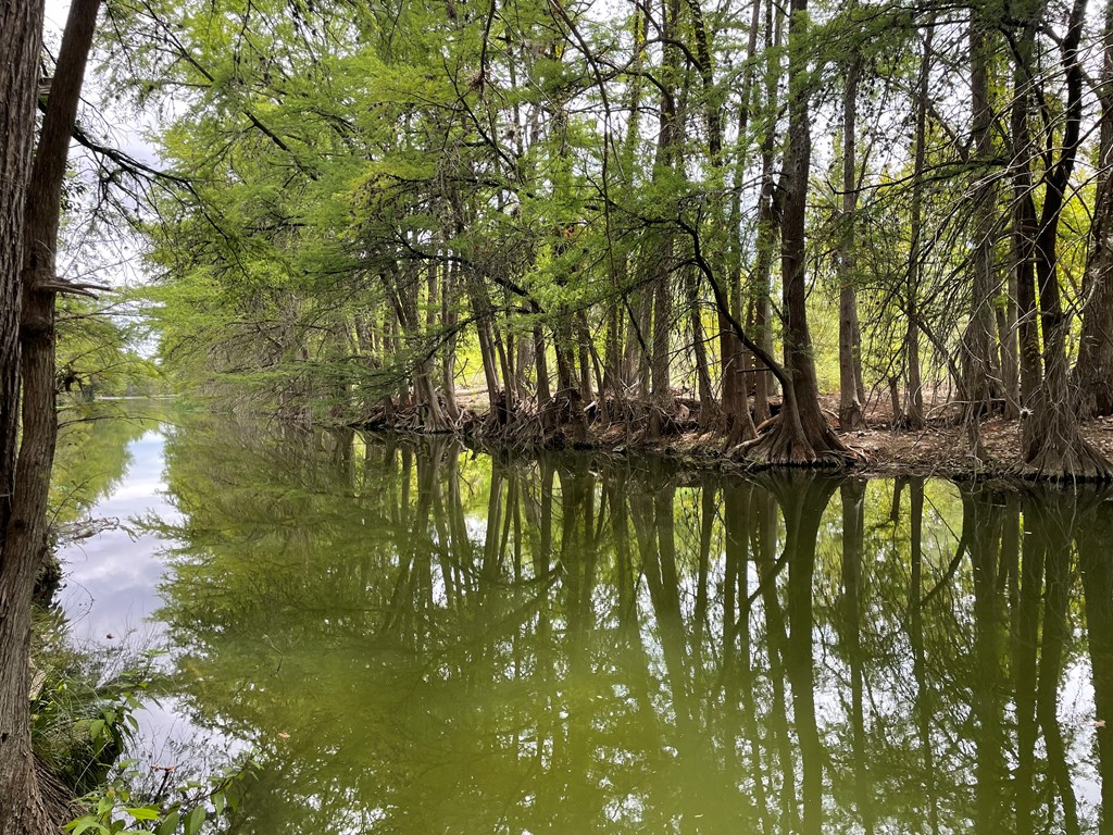2915 Riverside Drive Kerrville, TX 78028 - Photo 44 of 47