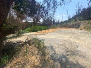 1875 Pine Flat Road Santa Cruz, CA 95060 - Photo 3 of 15 Gallery Image 3