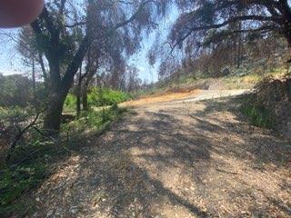 1875 Pine Flat Road Santa Cruz, CA 95060 - Photo 7 of 15 Gallery Image 7