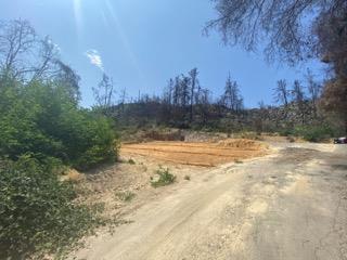 1875 Pine Flat Road Santa Cruz, CA 95060 - Photo 10 of 15 Gallery Image 10