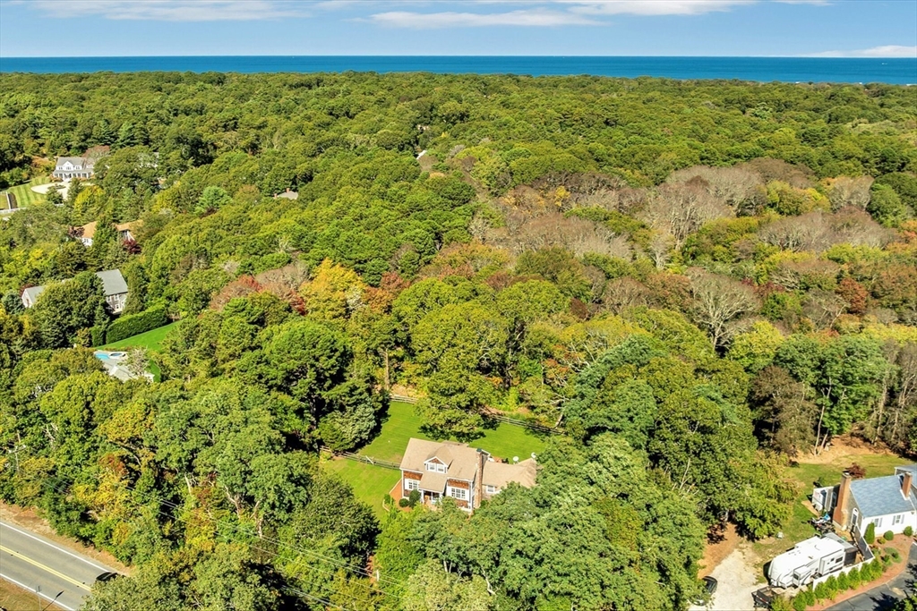 665 Route 6A Sandwich, MA 02537 - Photo 5 of 42 a view of a large yard with lots of green space and bench